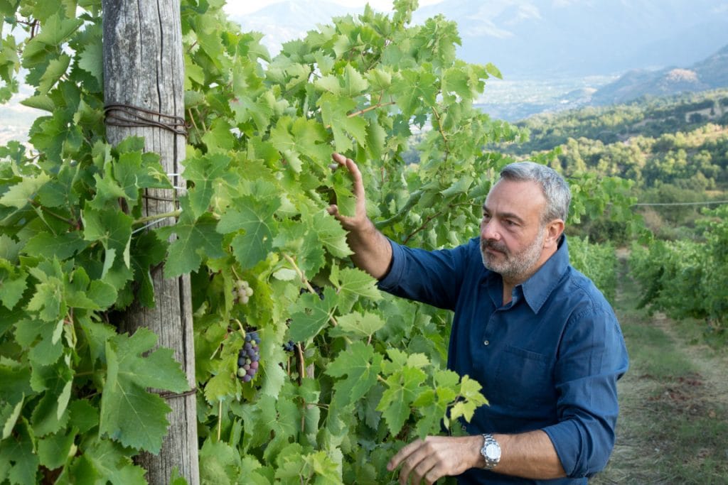 Trends in the Asian Wine Market in 2024