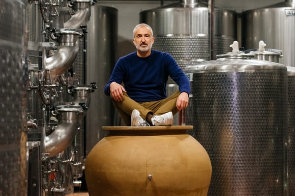 Asian Wine Market Trends: Recovery and Shifting Preferences in 2024