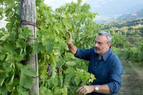 Trends in the Asian Wine Market in 2024