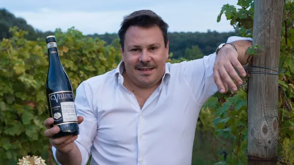 Amarone in the Asian Wine Market in 2024
